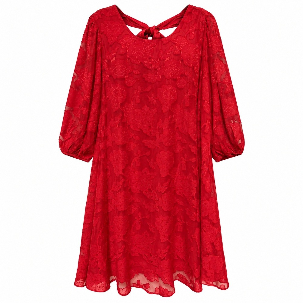 Vintage Robbie Bee Coquette Romantic Rose Burnout Dress Womens Size XL Holiday